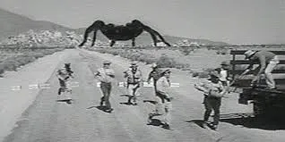 22409 tarantula video equipment