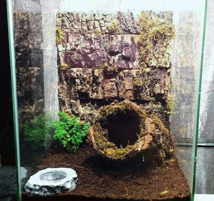 22412 tarantula substrate options