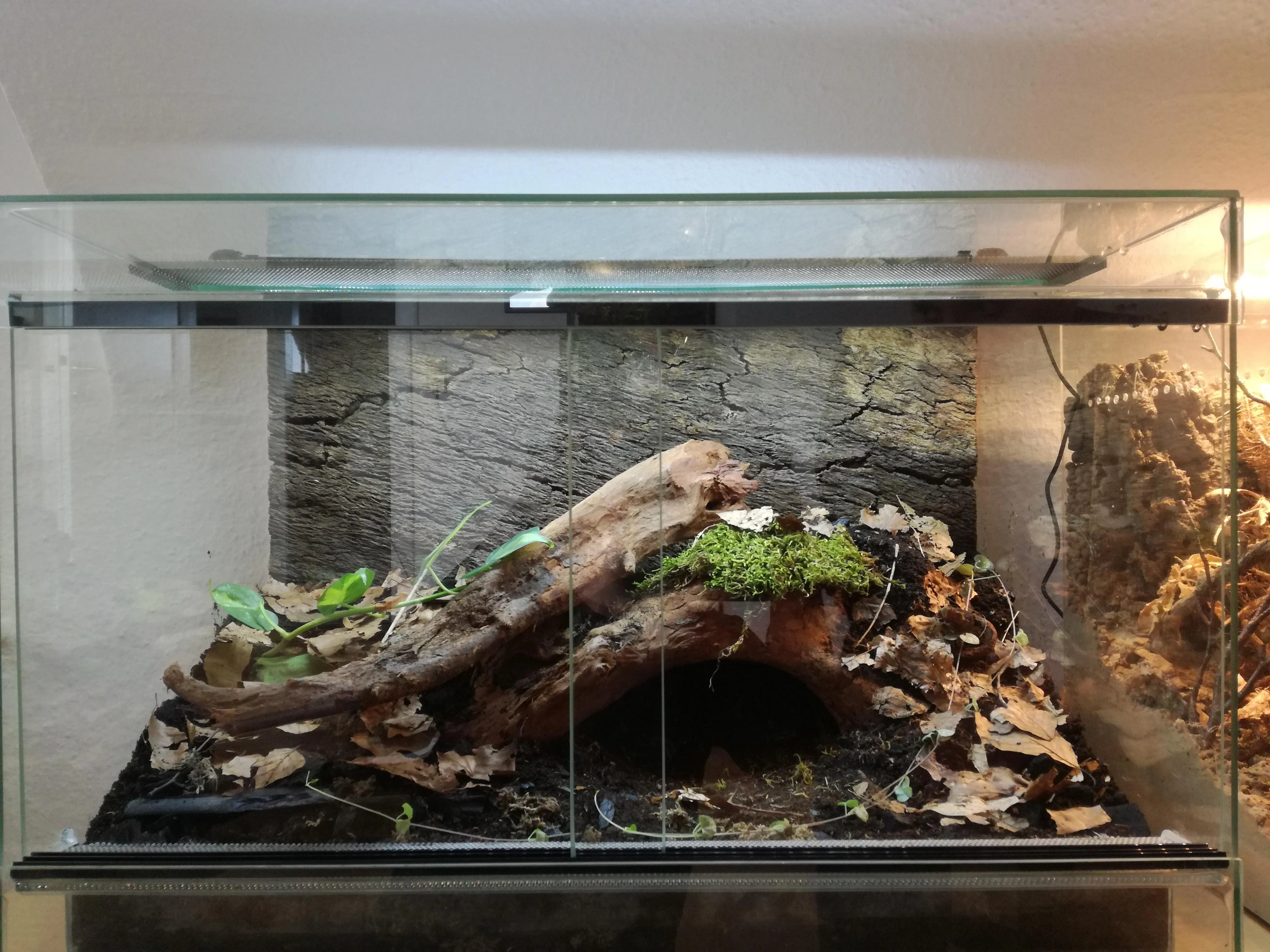 22412 tarantula textured surfaces