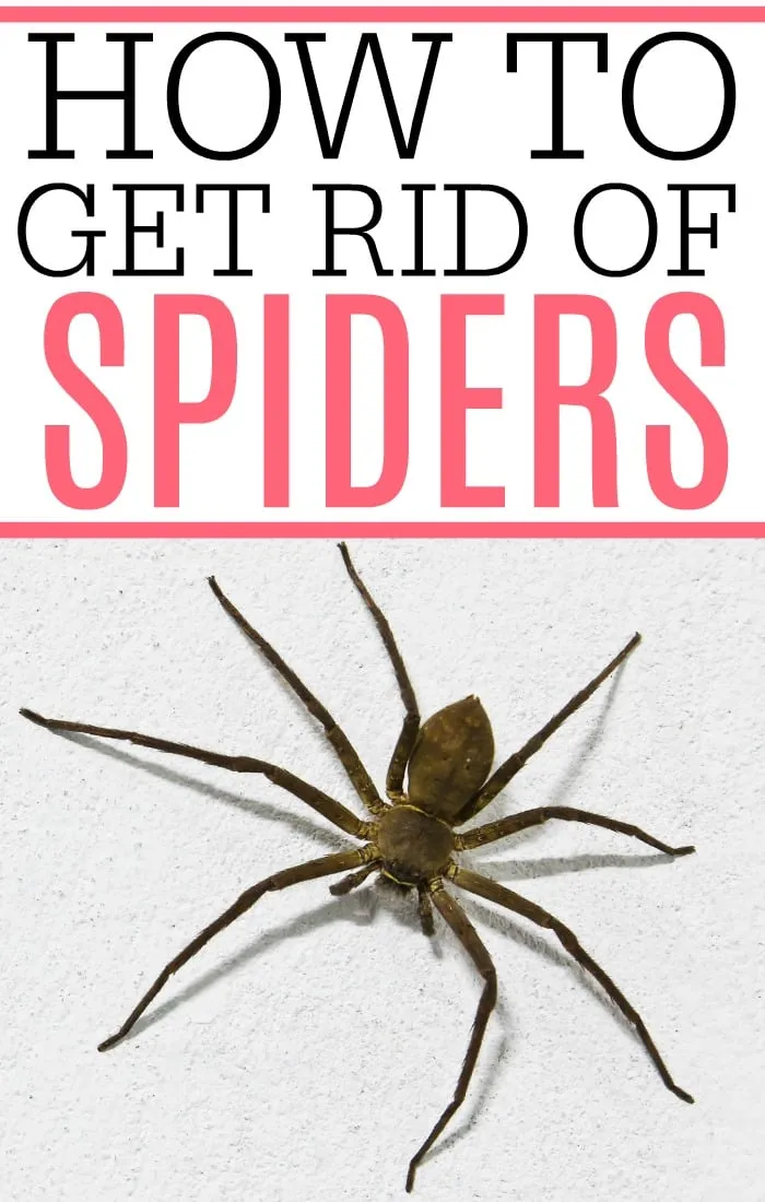 22421 sealing home entry points