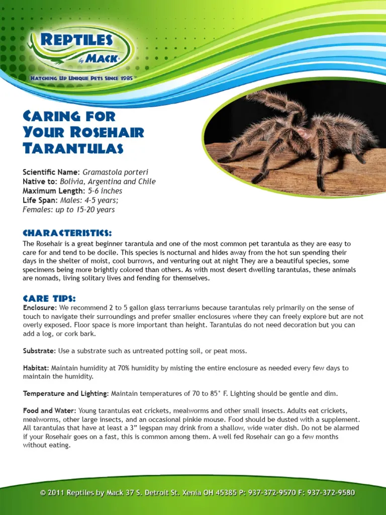 22424 substrate for tarantula