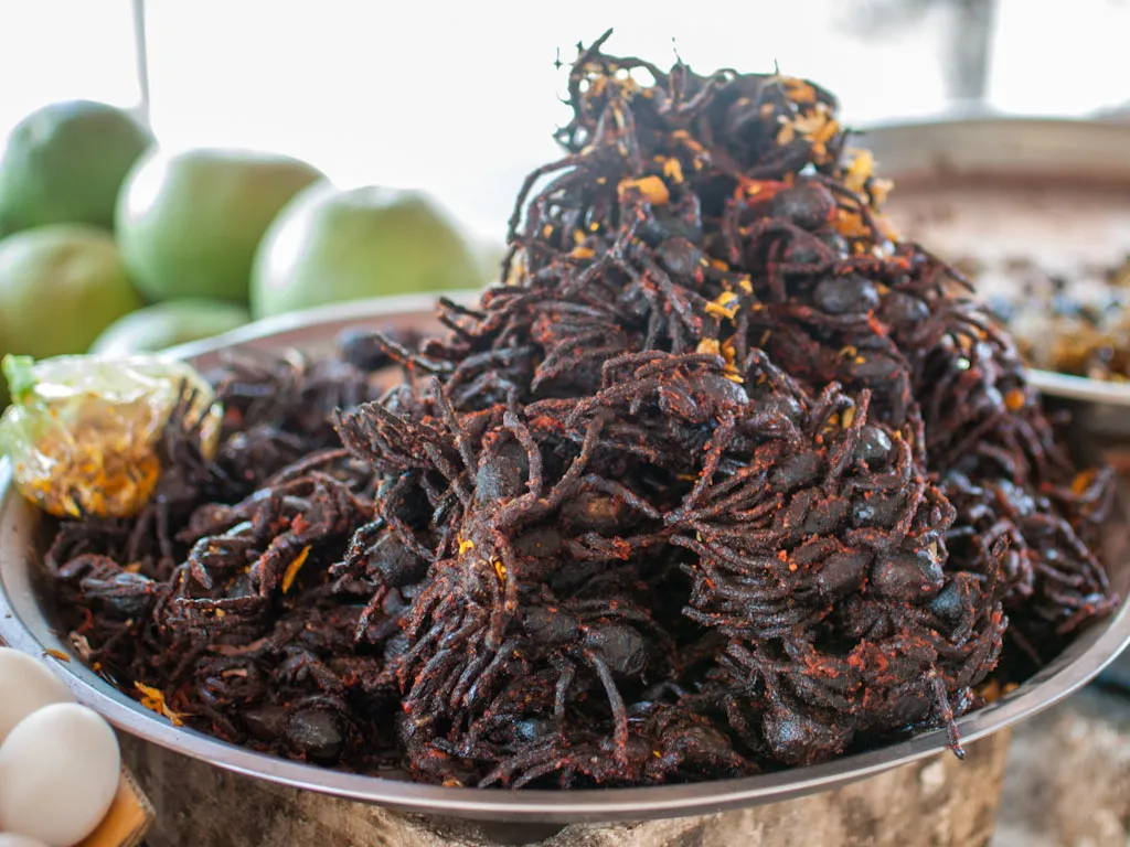 22426 eating fried tarantula