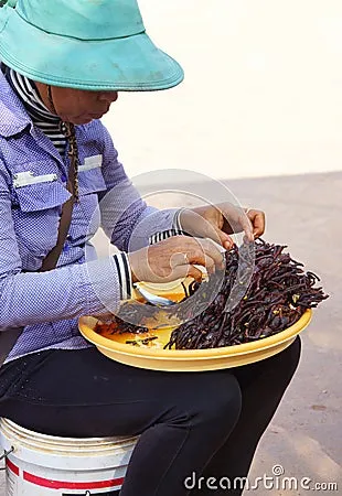 22426 preparing fried tarantula