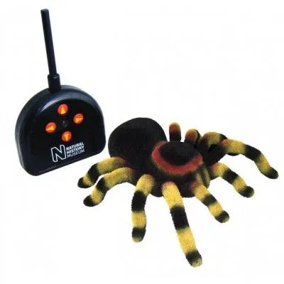 22428 tarantula humidity