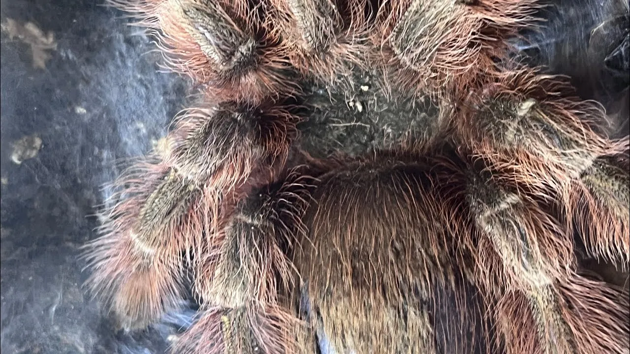 22430 cannabis shopping tips