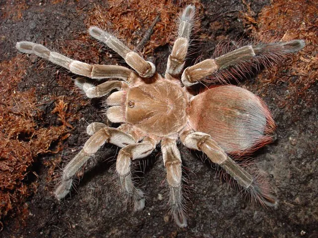 22432 dealer reviews