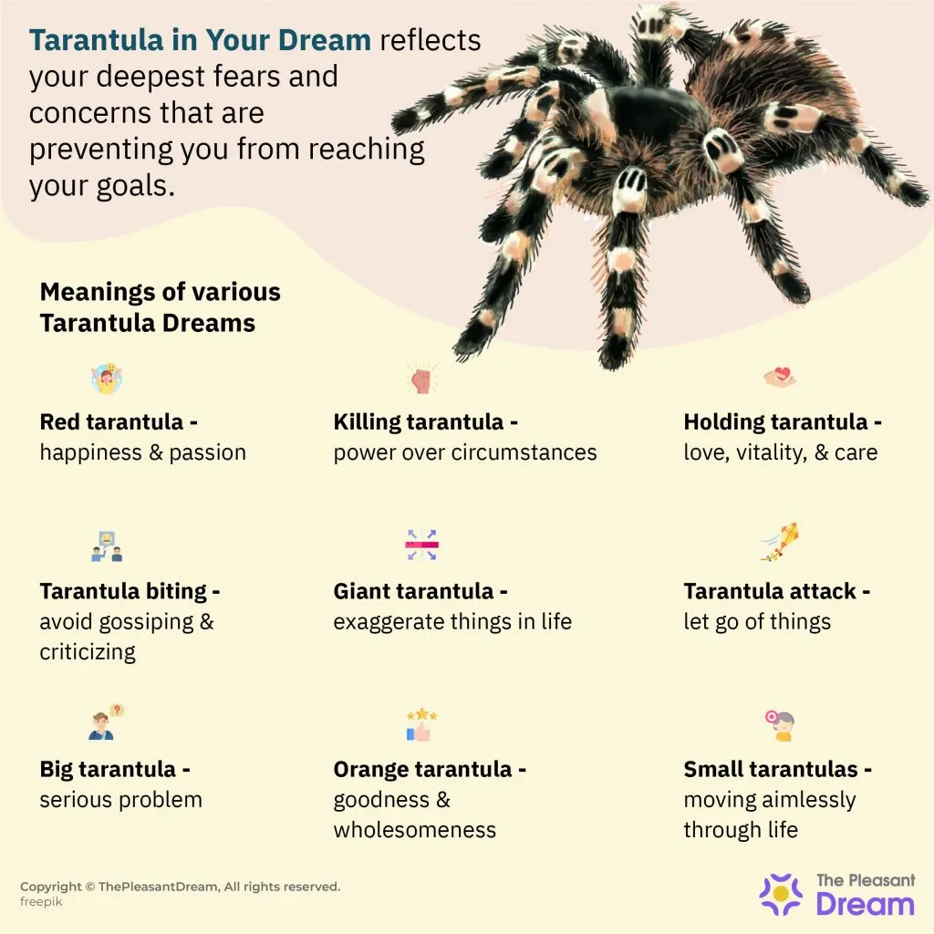 22436 tarantula spider dream hidden dangers