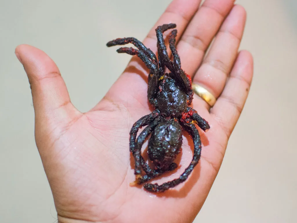 22439 fried tarantula plate