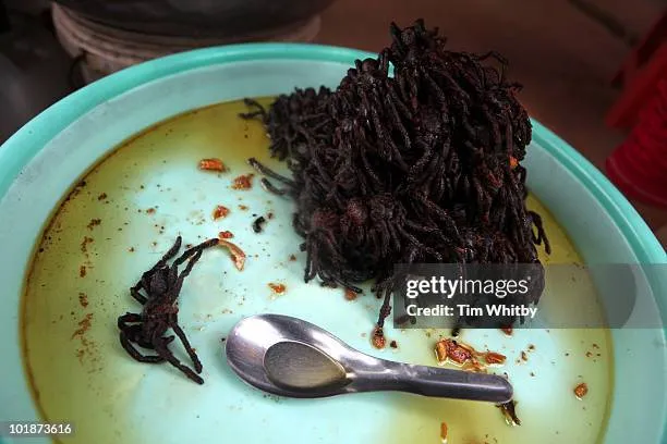 22439 frying tarantula