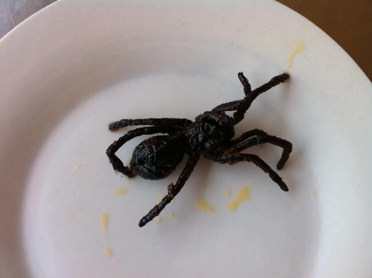 22439 preparing tarantula