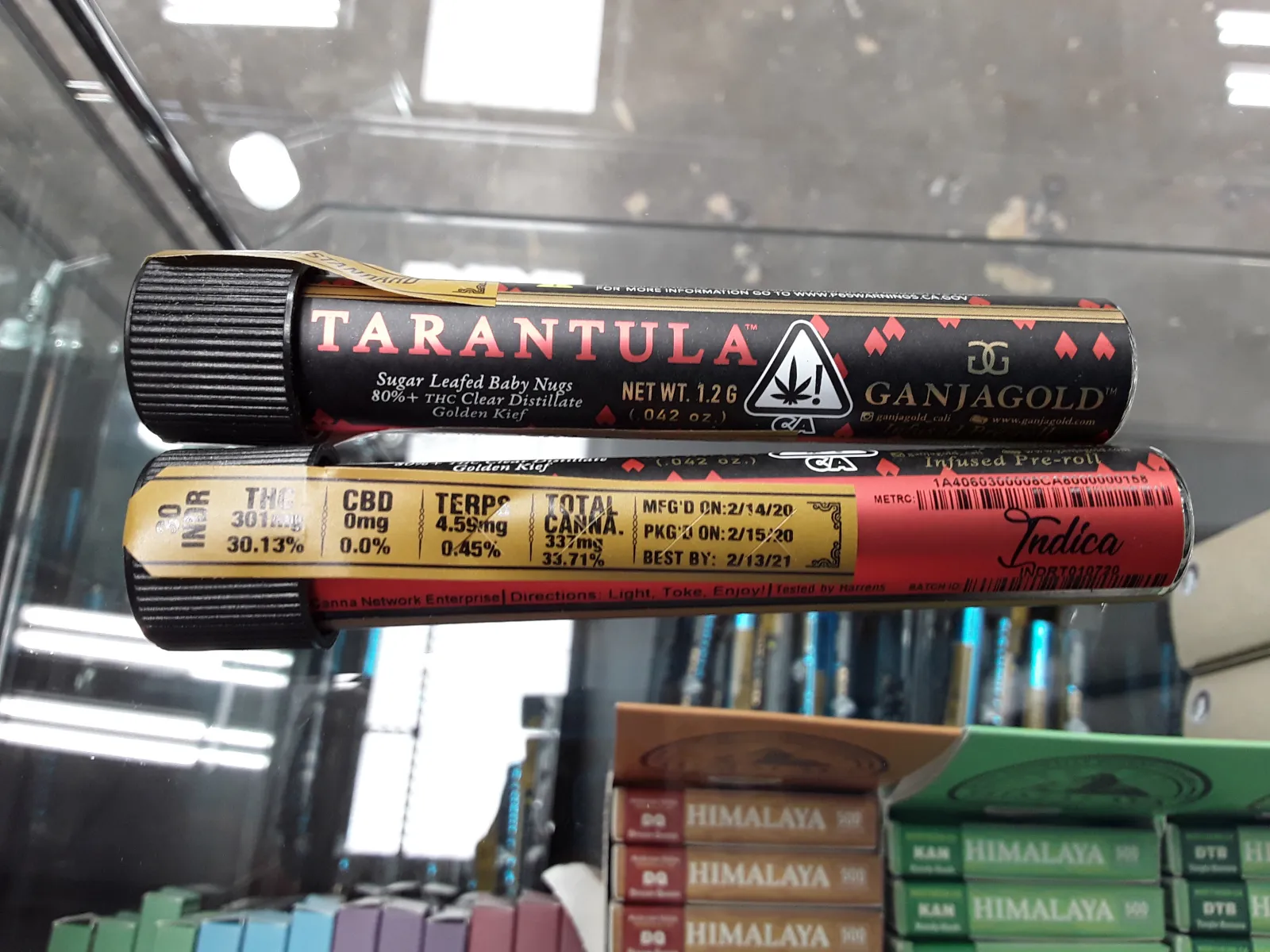 22447 tarantula feeding