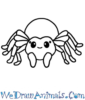 22449 tarantula texture shading