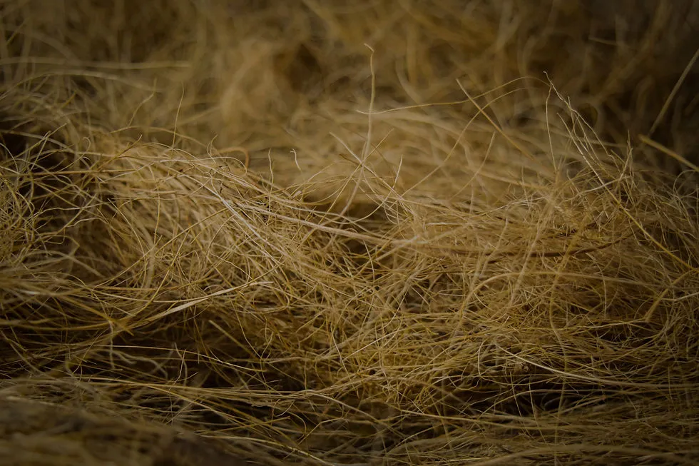 22457 coco fiber tarantula waste