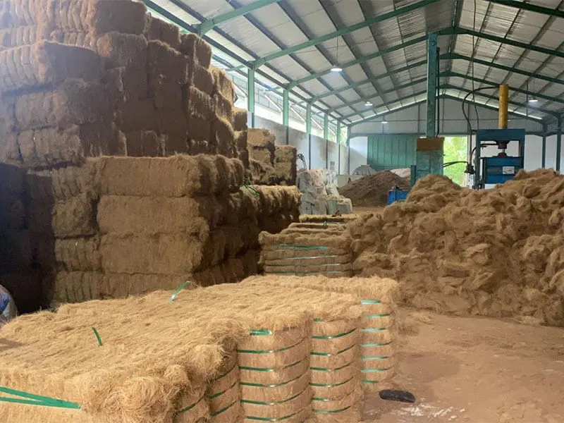 22457 tarantula burrowing coco fiber