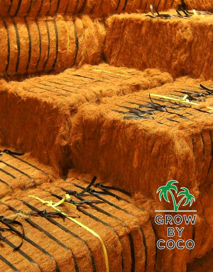 22457 tarantula healthy environment