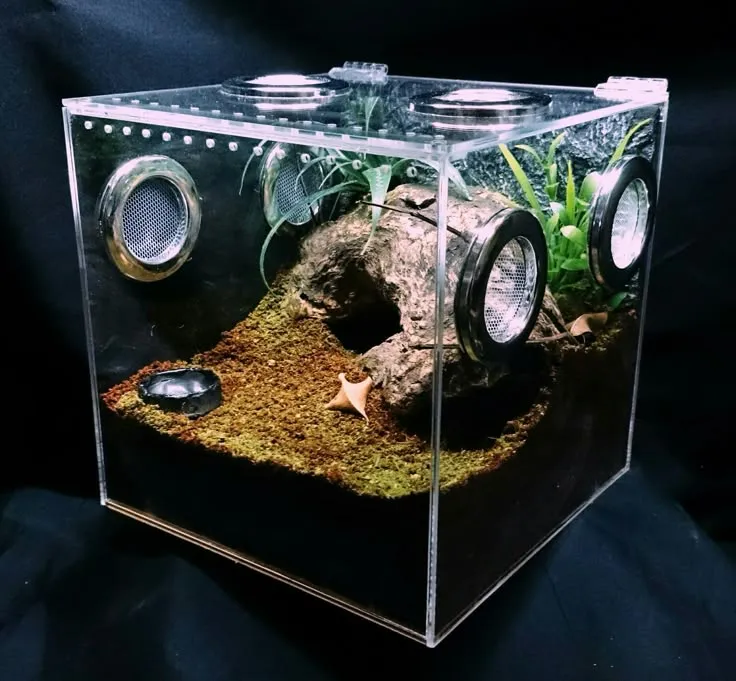 22459 acrylic tarantula enclosure