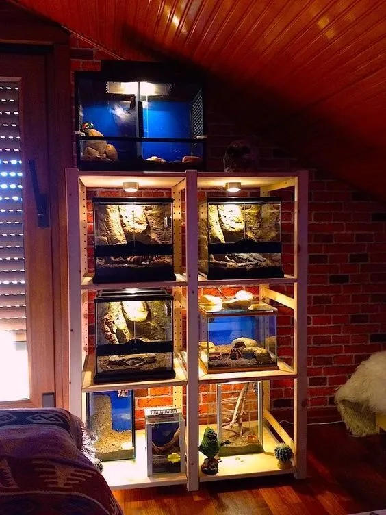 22459 glass tarantula enclosure