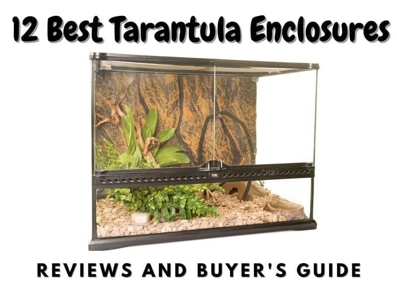 /img/22459-tarantula-enclosure-decor.webp