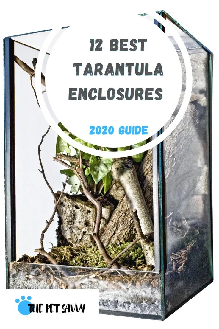 22459 terrestrial tarantula enclosure