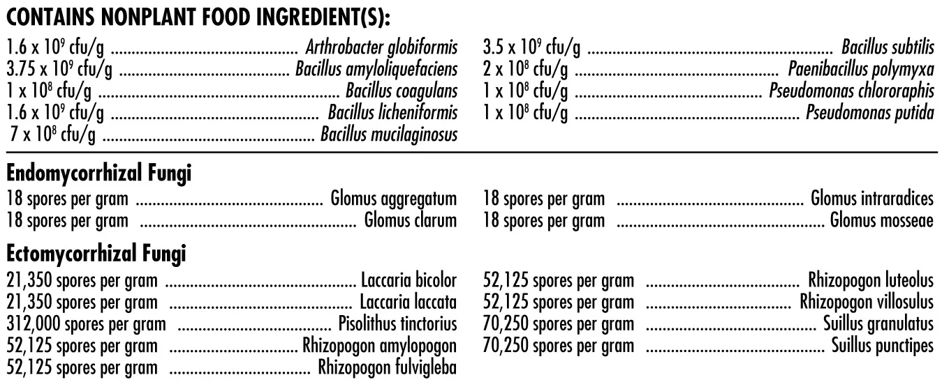 22460 microbe colony