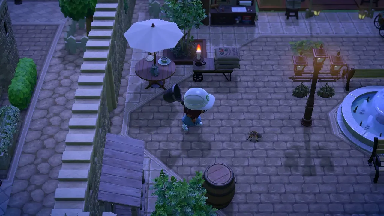 22464 acnh clearing island