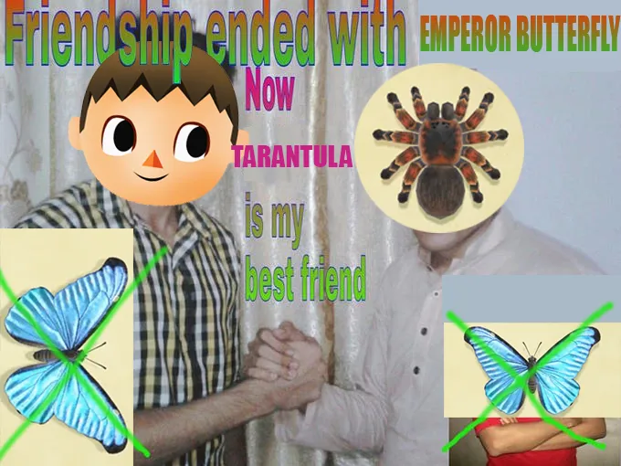 22464 acnh tarantula spawn