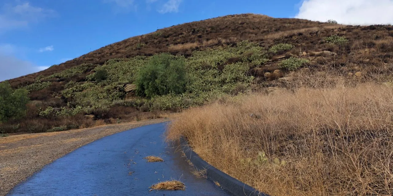 22465 stealth hunting