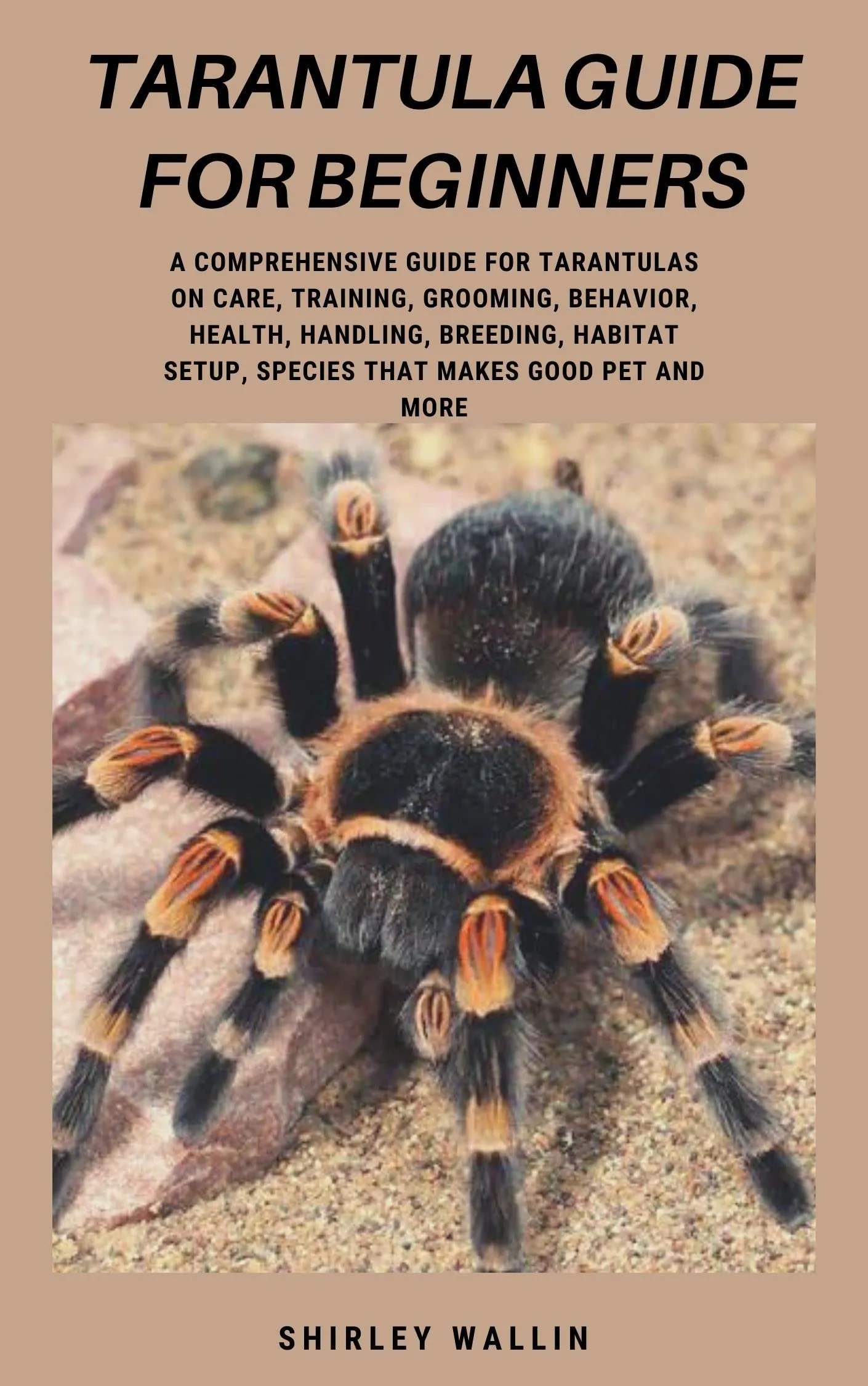 22467 tarantula feeding