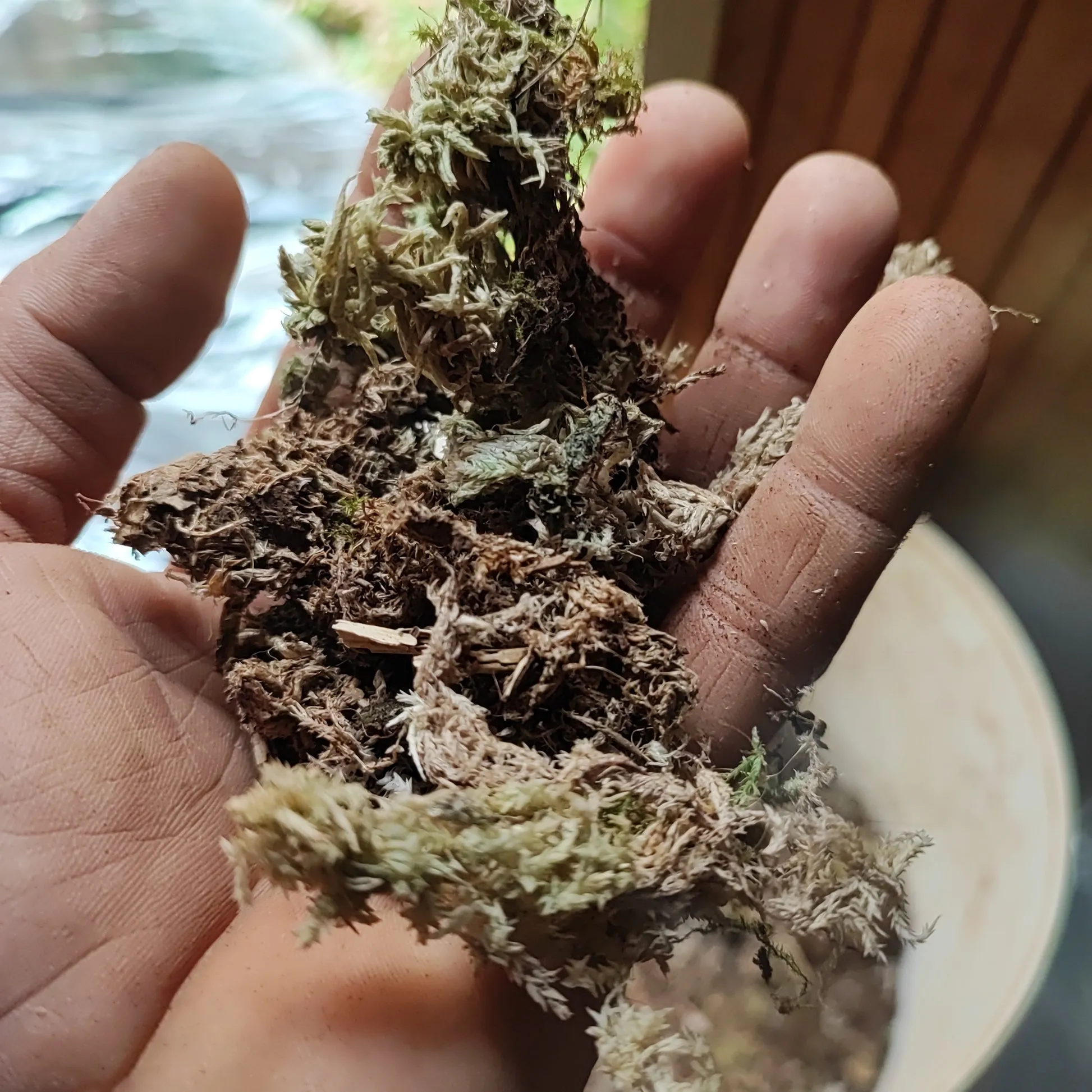 22468 measuring substrate moisture