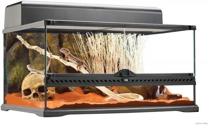 22478 acrylic tarantula enclosure