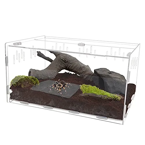 22478 glass tarantula enclosure