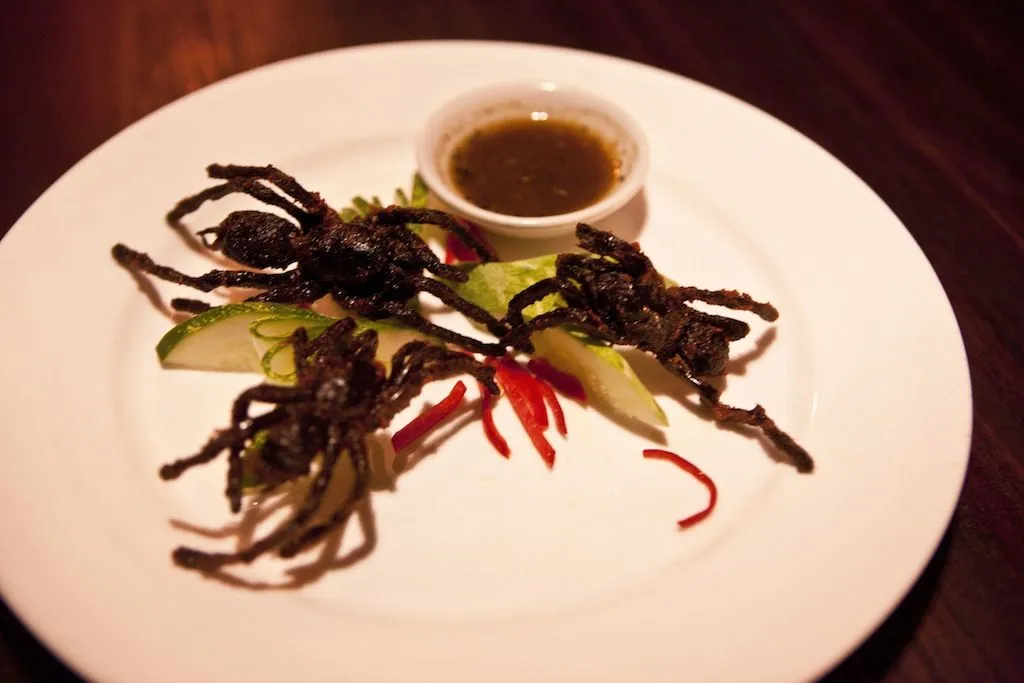 22492 cambodia street food tarantula 2