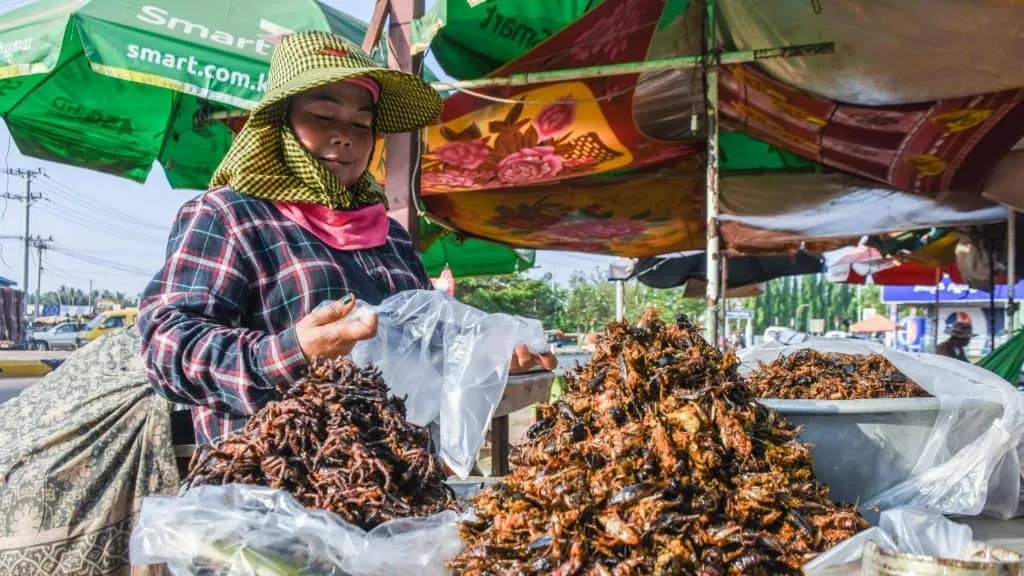 22492 cambodia street food tarantula 4