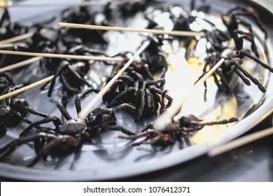 22492 cambodia street food tarantula 5