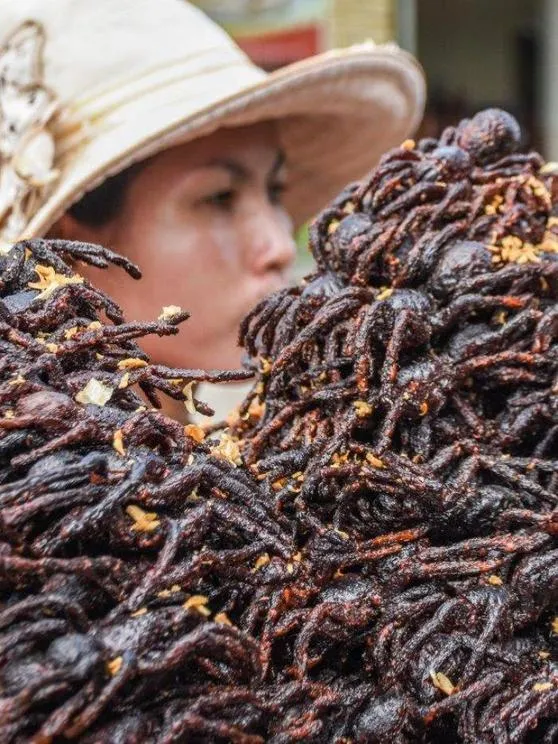 22492 cambodia street food tarantula 6