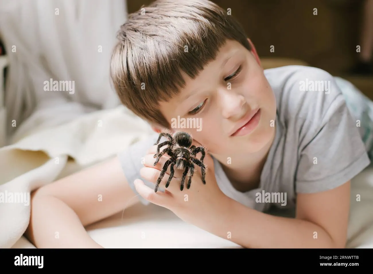 /img/22493-tarantula-bite.webp