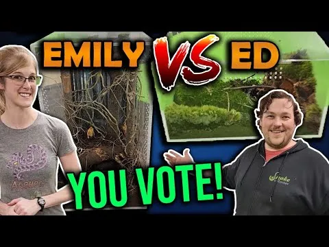 22495 epic tarantula image2