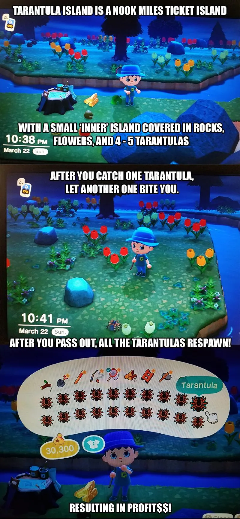 22498 dig holes animal crossing