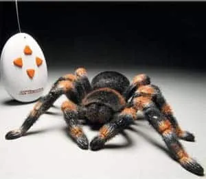 22508 rc tarantula design