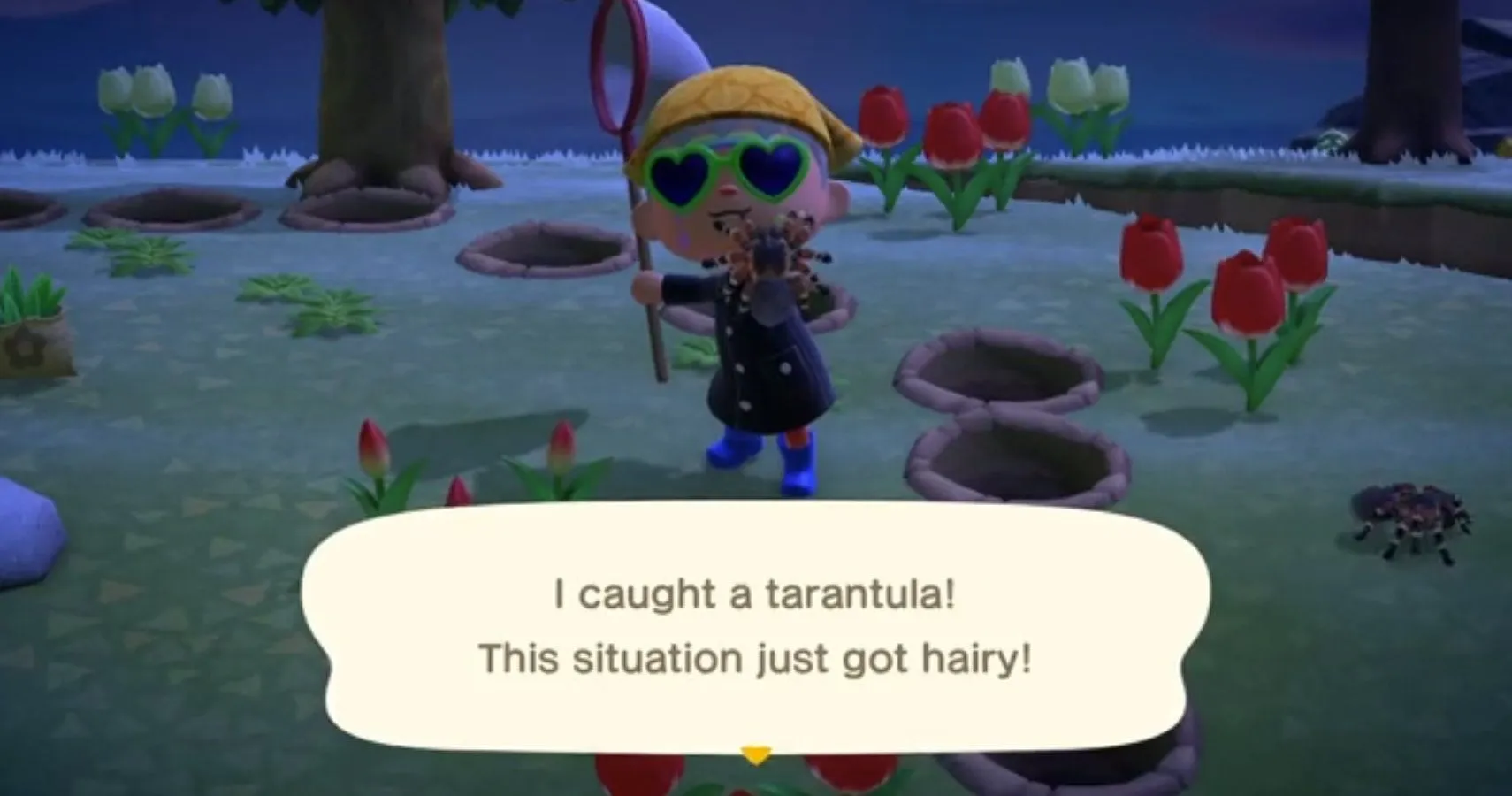 22515 animal crossing tarantula rain 5