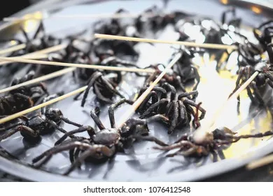 22519 tarantula kebab close up