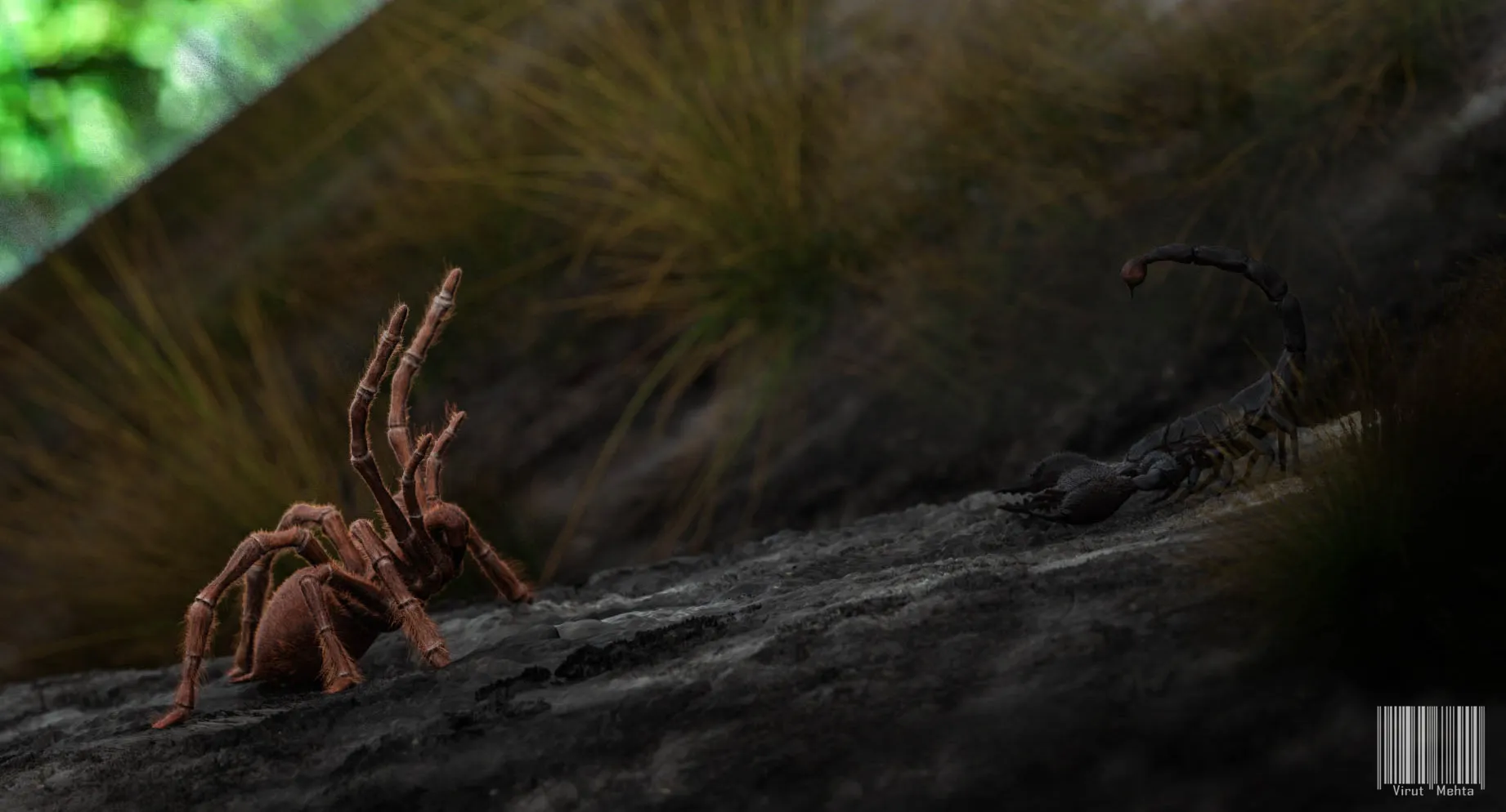 22520 tarantula species