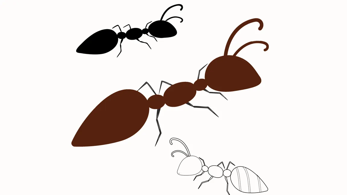 22522 tarantula habitat