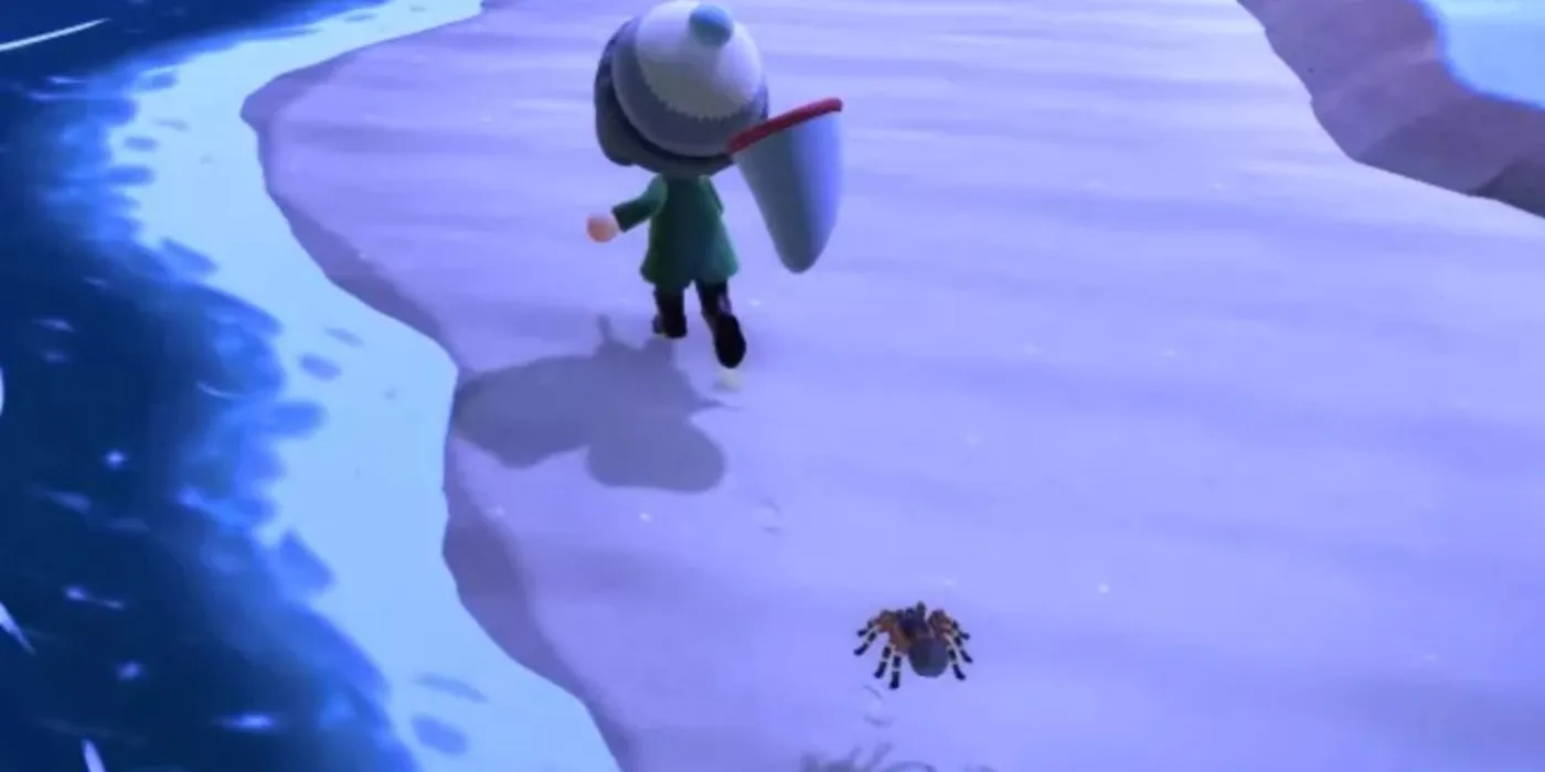 22529 animal crossing tarantula island prepare