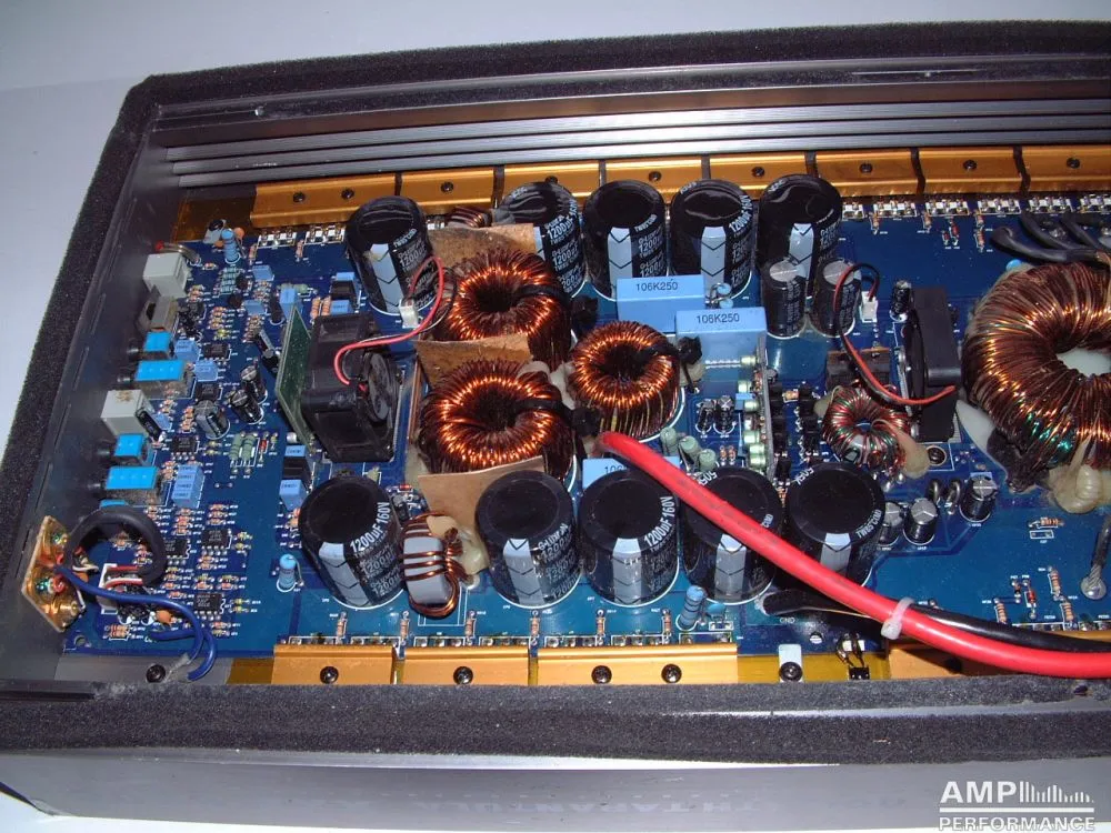 22536 tarantula defensive sound