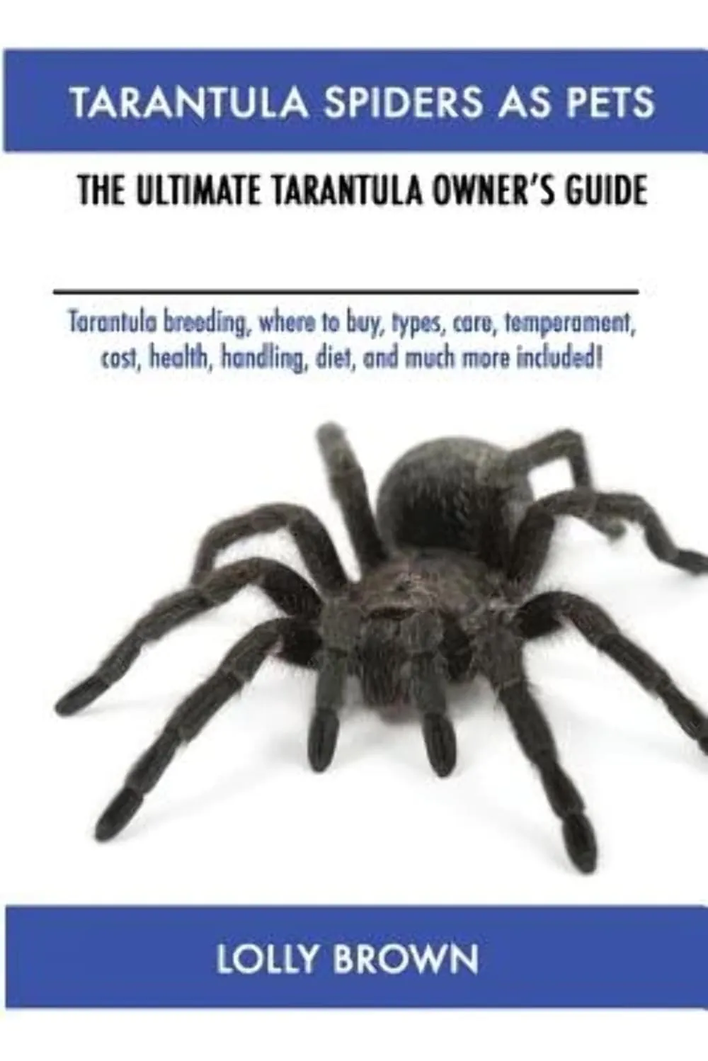 22538 tarantula health check