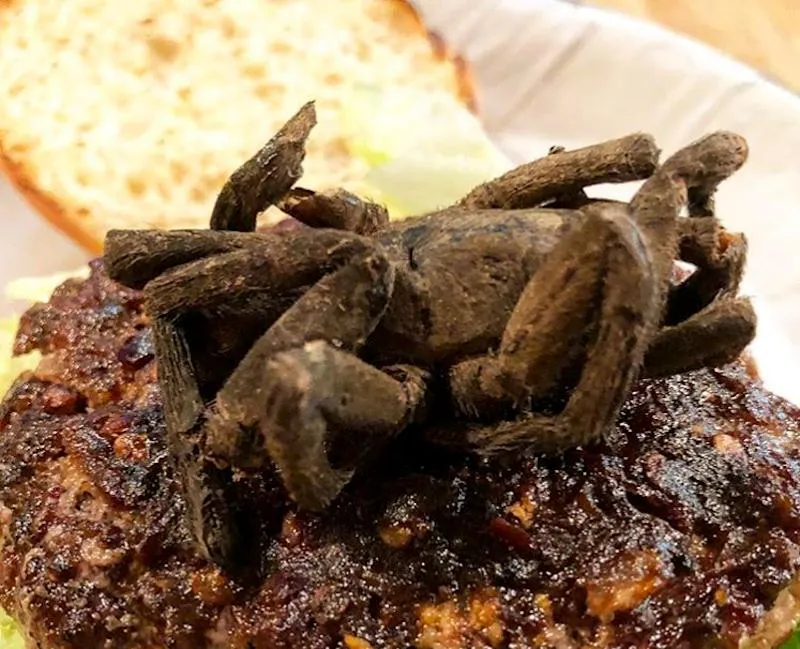 22545 tarantula burger preparation