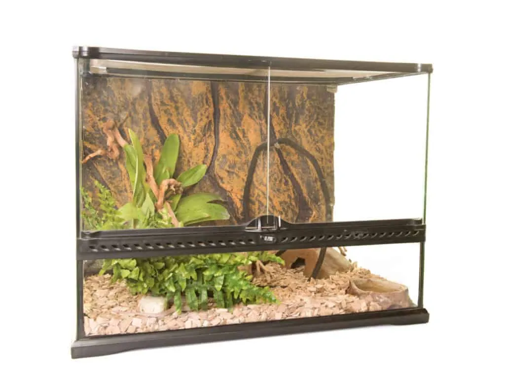22556 tarantula enclosure 2