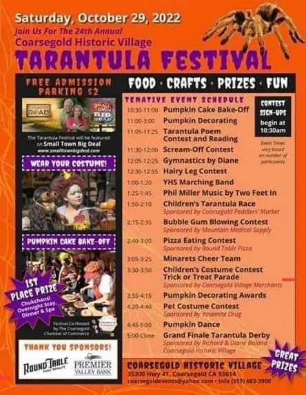 22560 tarantula feeding session