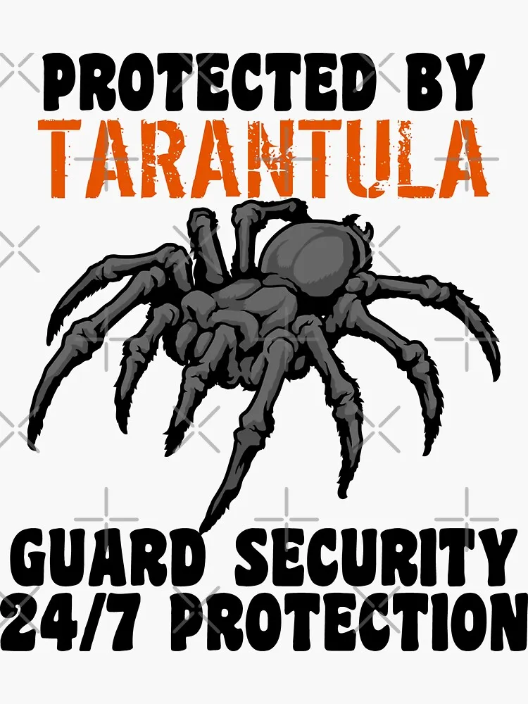 22566 security cameras